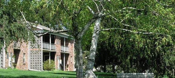 York, Property ID #116336 York, Property ID #116336